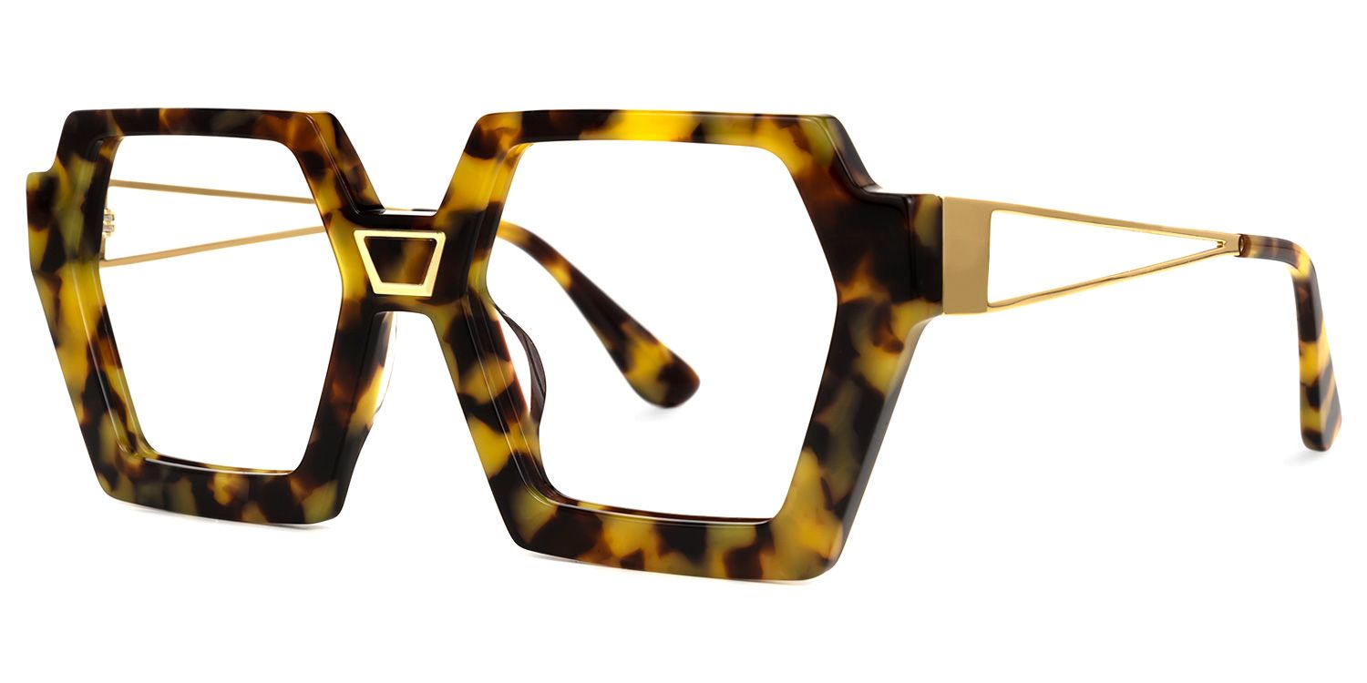 Eachna - Geometric Tortoise Eyeglasses | Vooglam Front View