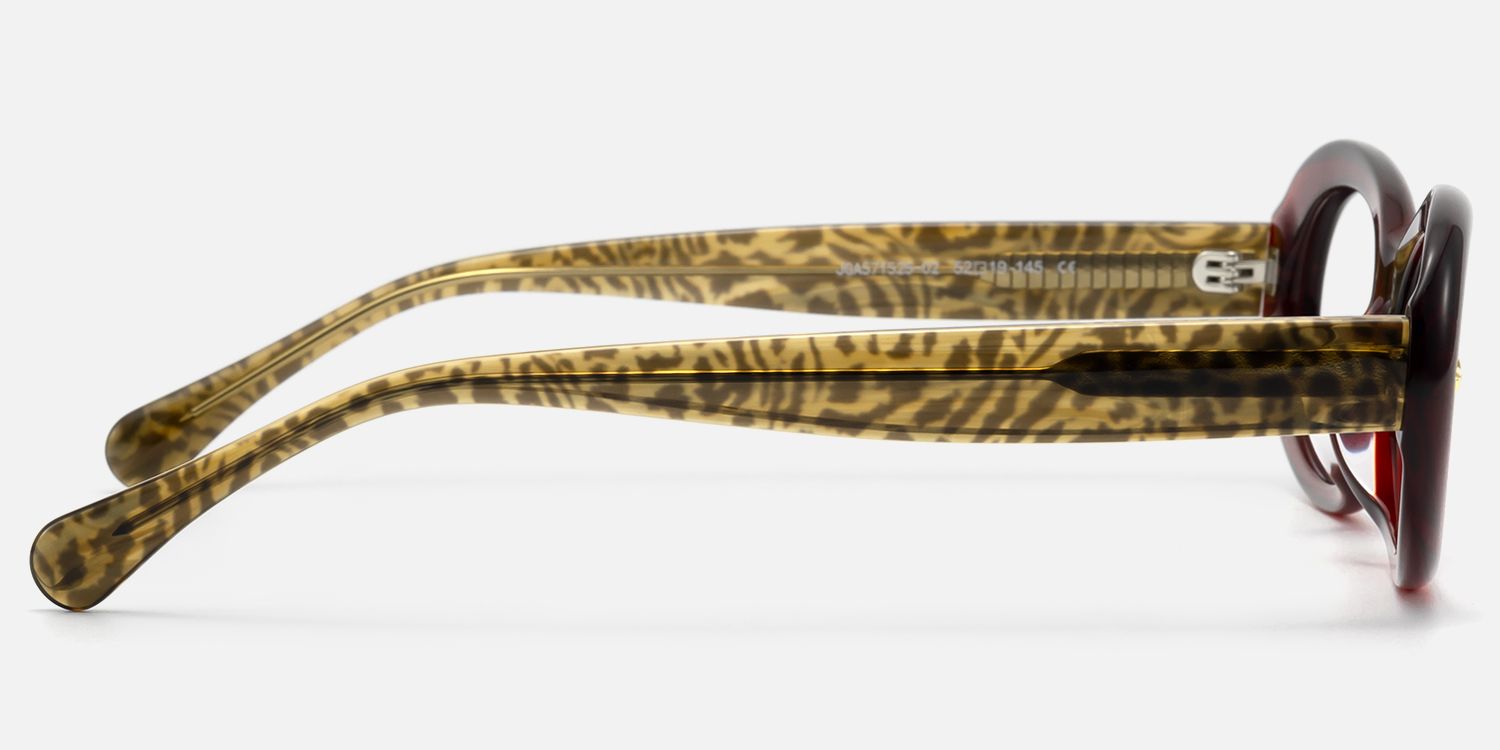 Vexa - Cherry Red Leopard Temple Glasses | Vooglam Side View