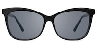 Alfven glasses GWA01753-01-02