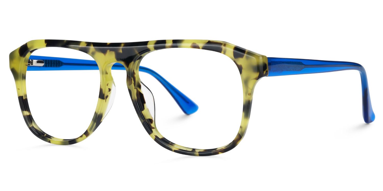 Elden - Aviator Tortoise Eyeglasses | Vooglam Front View
