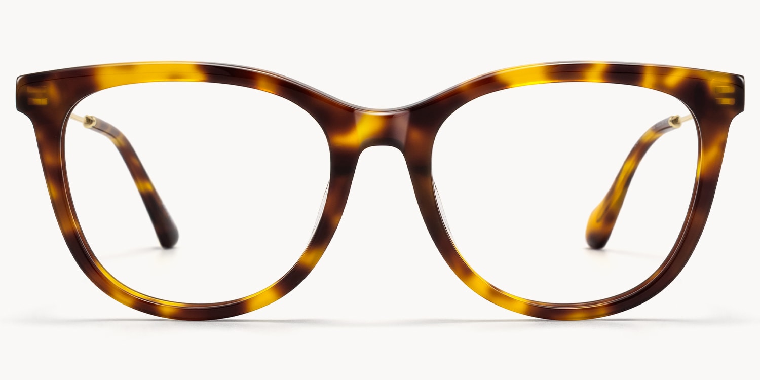 Bask - Square Tortoise Eyeglasses - 1