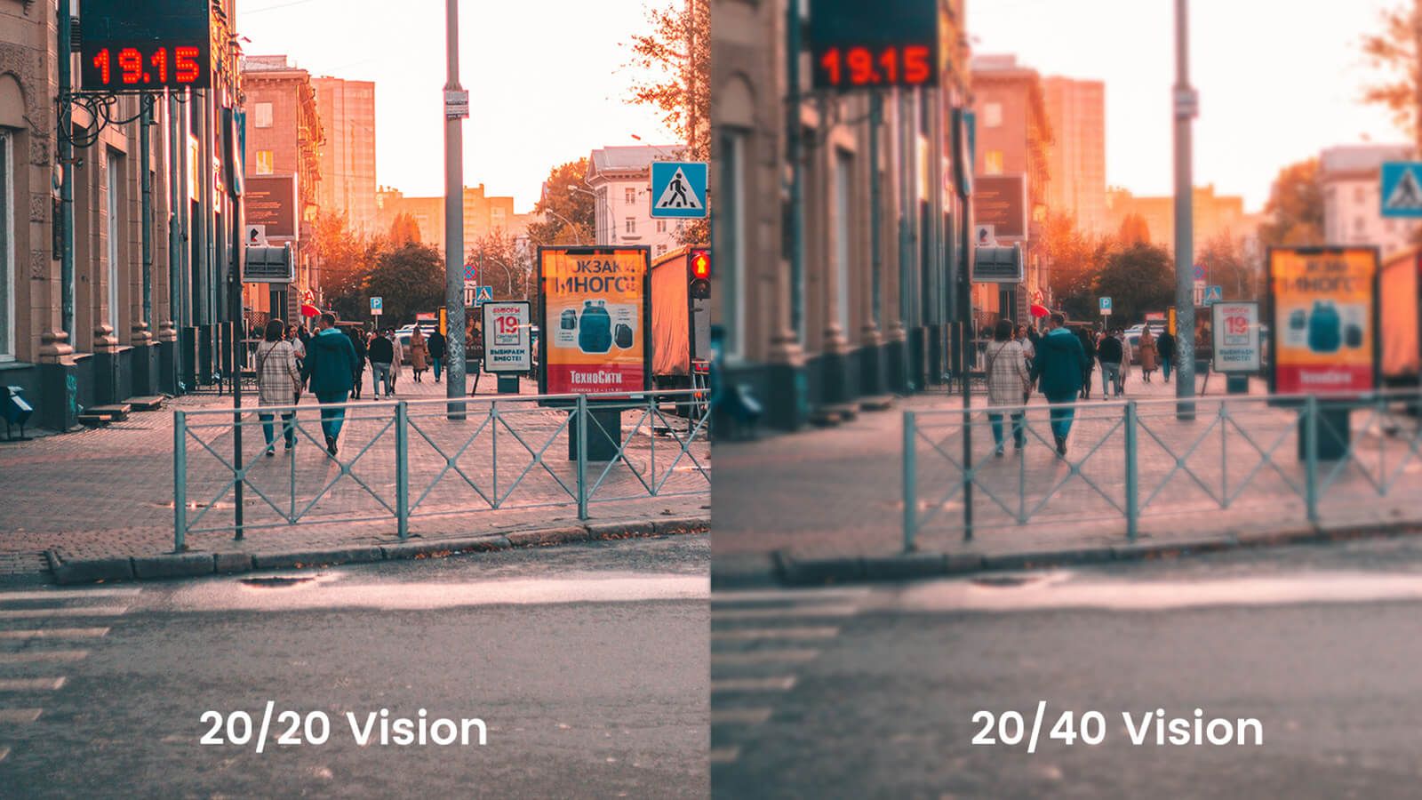 A side-by-side comparison diagram showing normal 20/20 vision with a sharp, clear view of green leaves on the left, and blurry 20/40 vision of the same scenery on the right.
