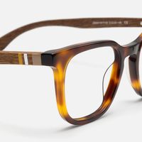 Lote - Square Tortoise Eyeglasses | Vooglam Design Details