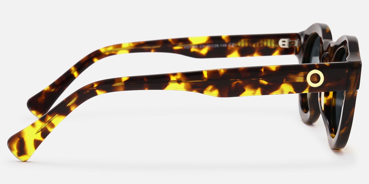 Pulse - Round Tortoise Sunglasses by Vooglam - Side View