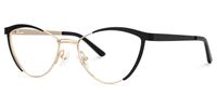Sydney - Black & Gold Browline Metal Glasses  | Vooglam Front View