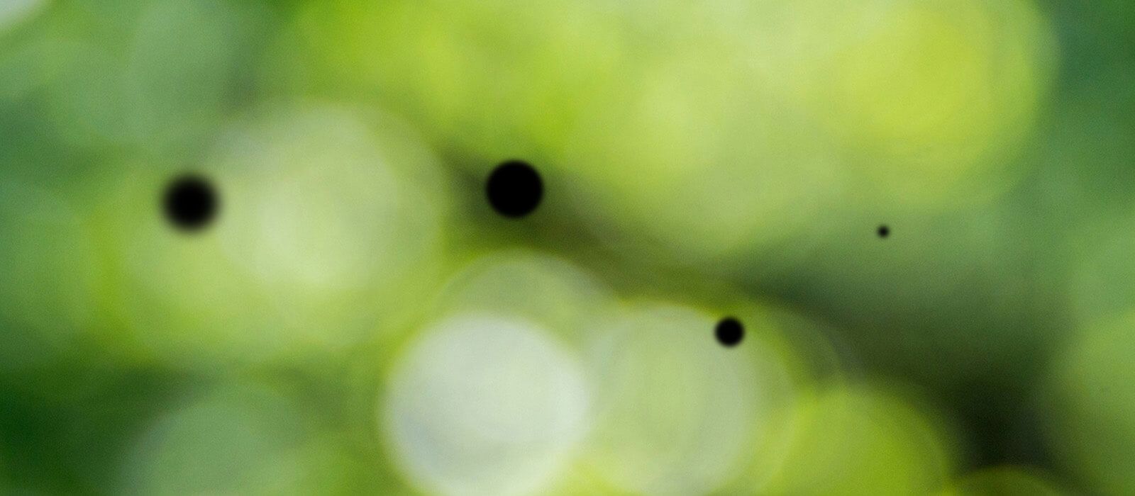 Dark spots in the vision due to retinal disease