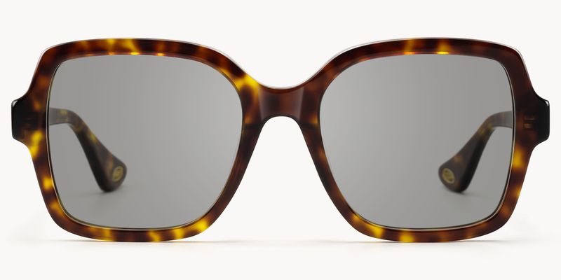 Meridian - Square Tortoise Sunglasses