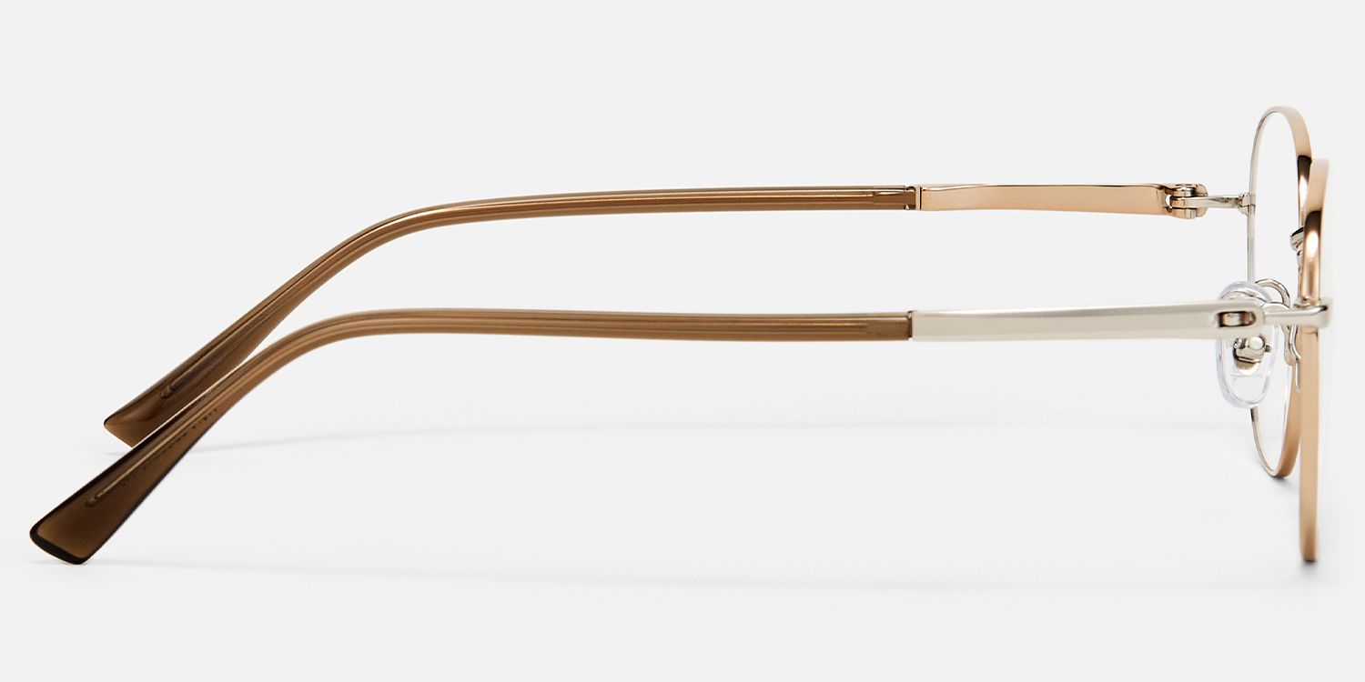 Luxe - Round Gold Eyeglasses | Vooglam Side View