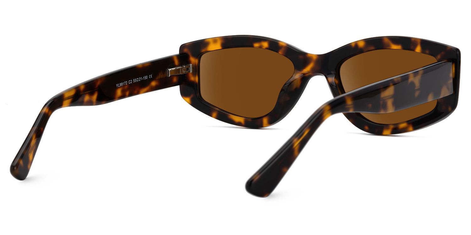 Elijah - Geometric Tortoise Prescription Sunglasses by Vooglam - Side View
