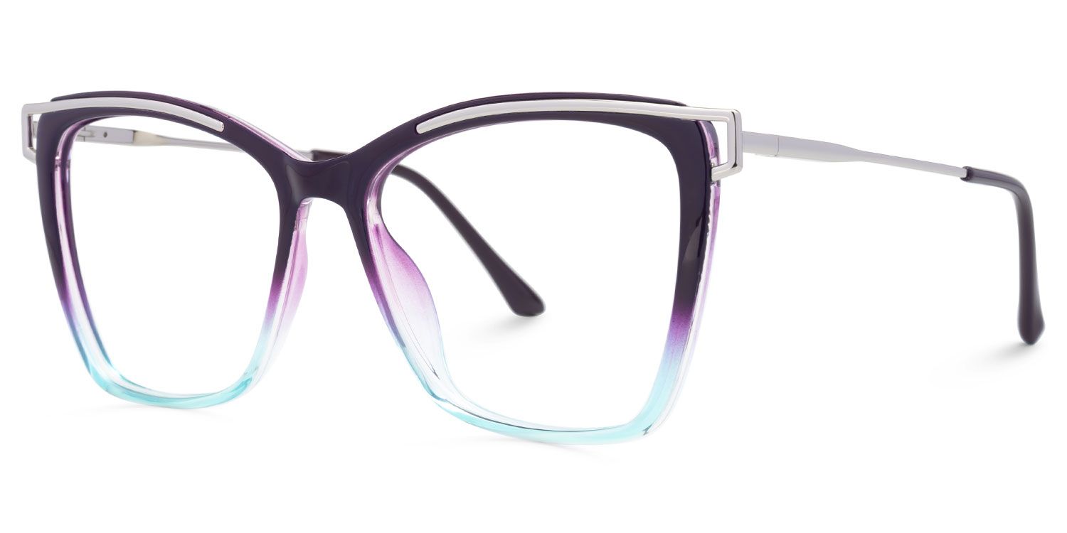 Eliel - Square Blue/Purple Eyeglasses | Vooglam Front View