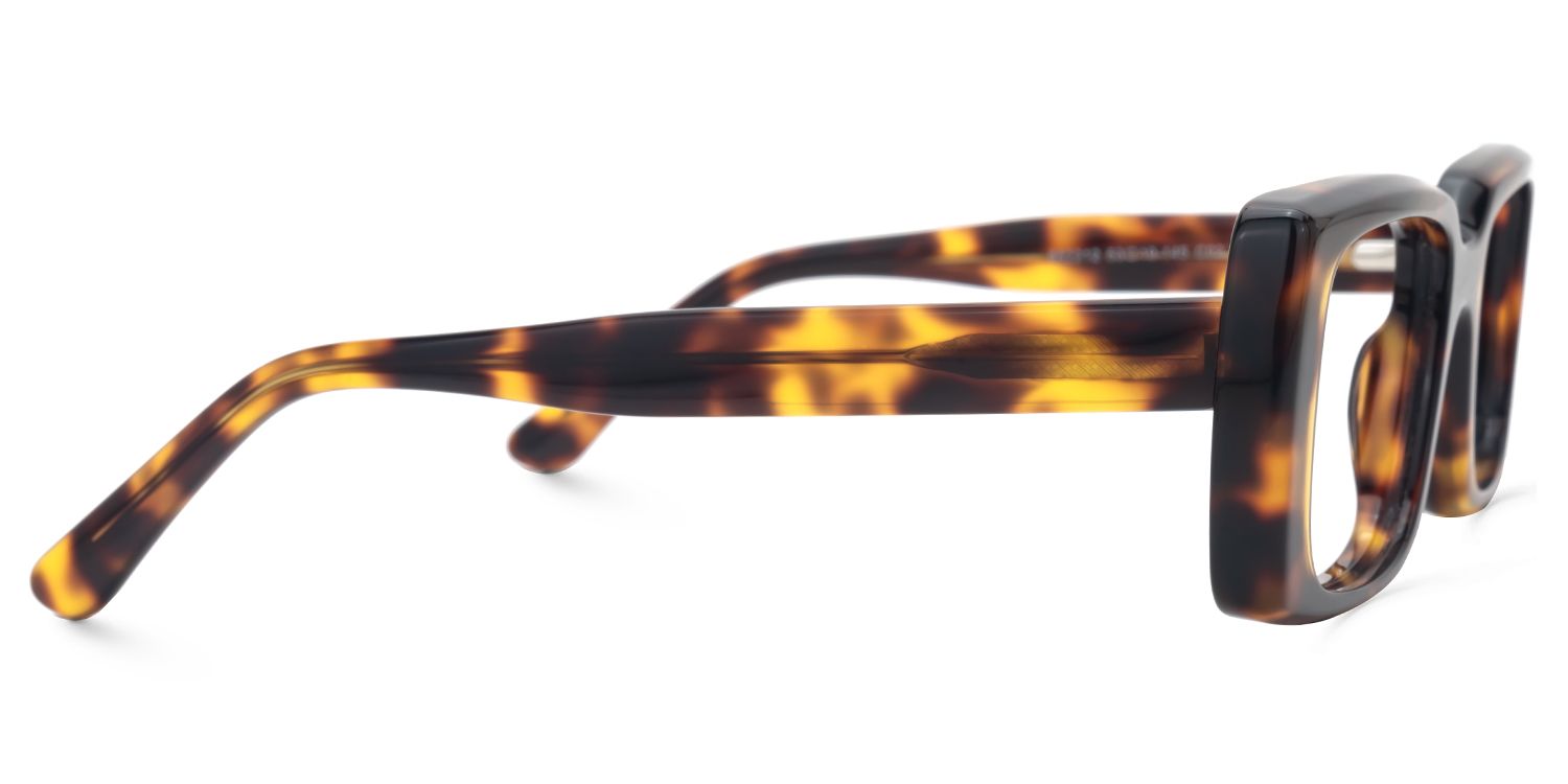Eirwyn - Rectangle Tortoise Eyeglasses | Vooglam 4
