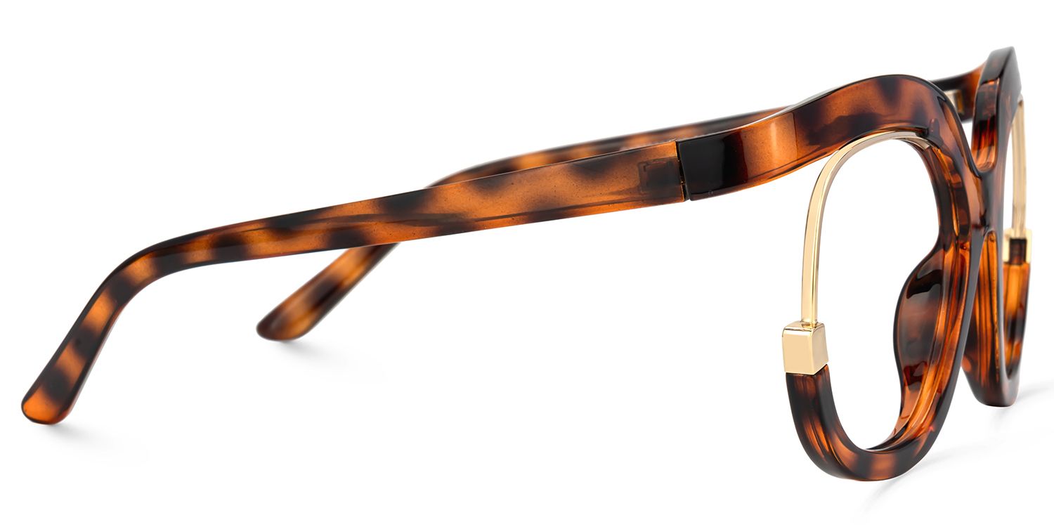 Fredia - Chunky Tortoise Shell Eyeglasses | Vooglam 4