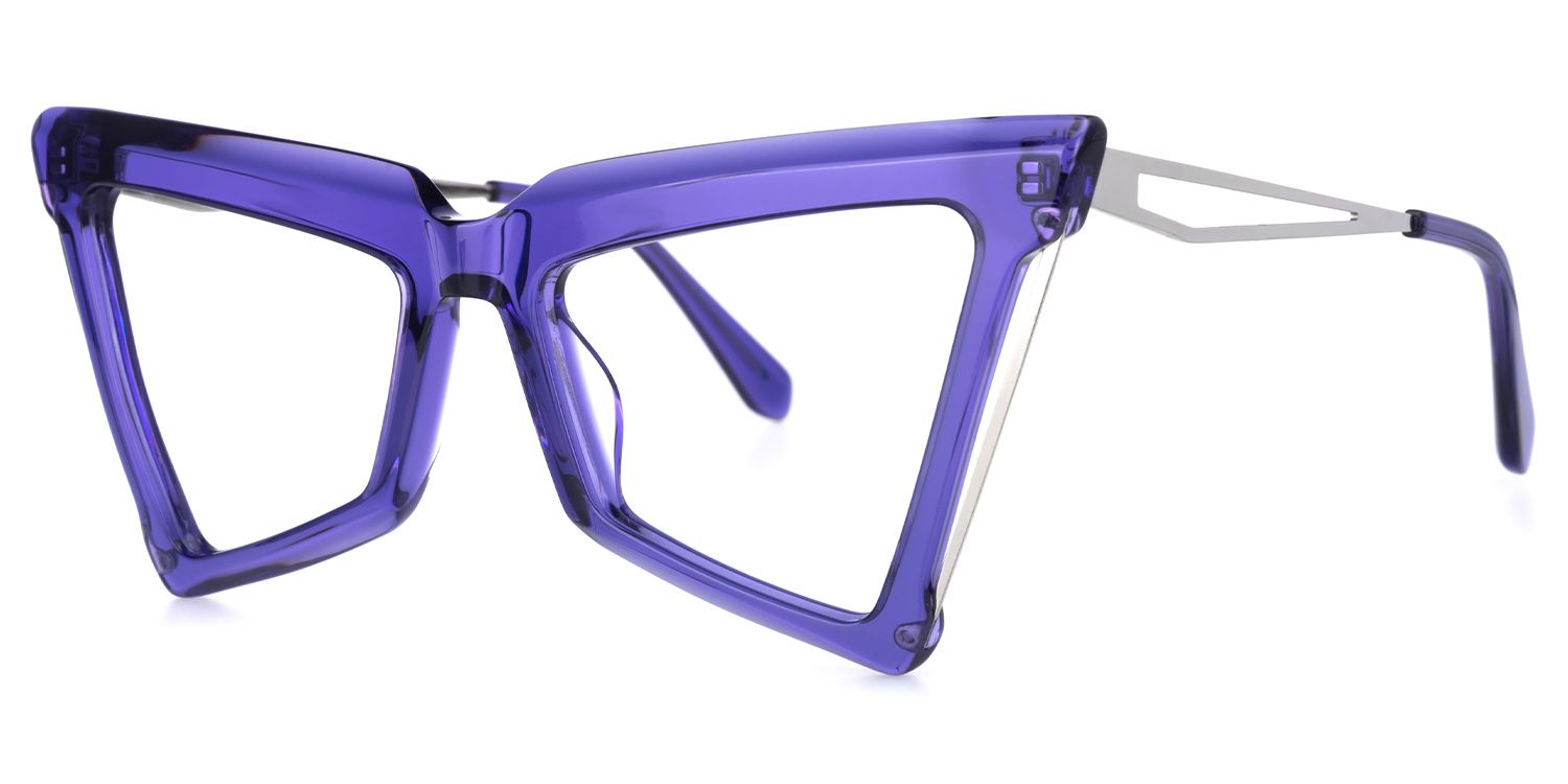Elihu - Butterfly Purple Eyeglasses | Vooglam Front View