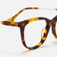 Bask - Square Tortoise Eyeglasses | Vooglam Design Details