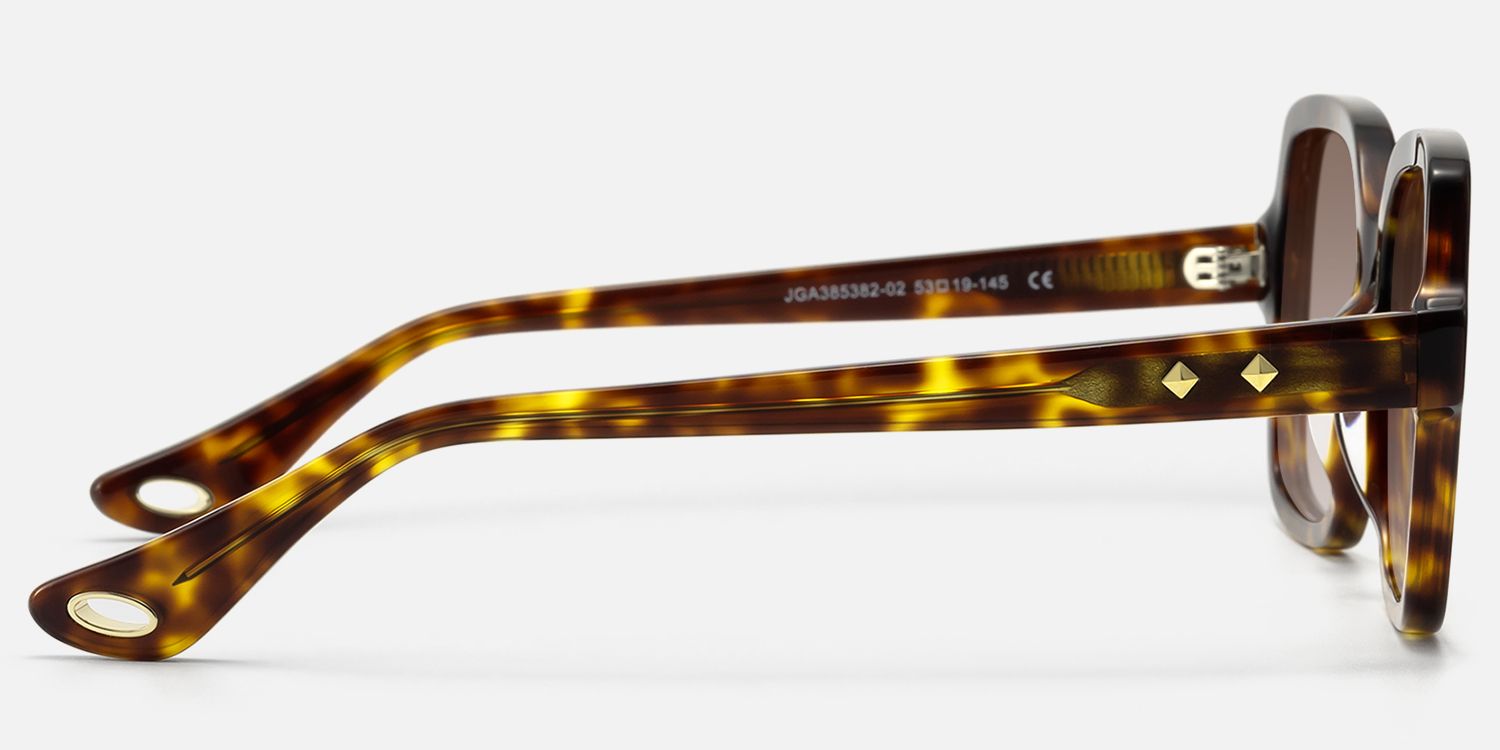Meridian - Square Tortoise Acetate Sunglasses | Vooglam Side View