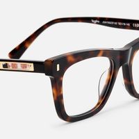 Calico - Square Tortoise Eyeglasses | Vooglam Design Details