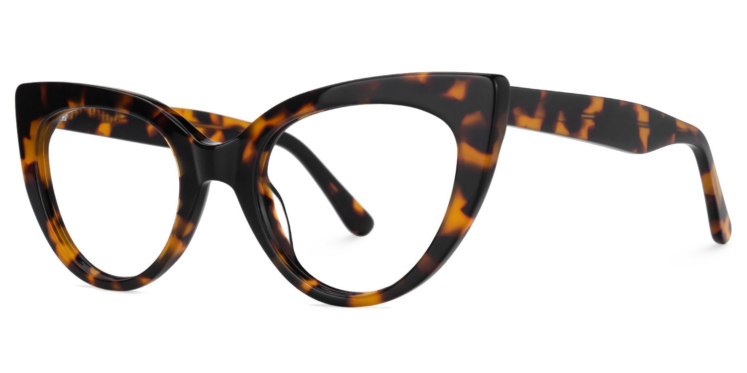 Einar - Cat Eye Tortoise Eyeglasses | Vooglam Front View