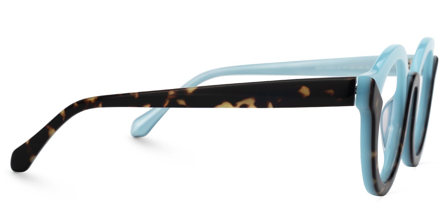 Fahima - Round Blue/Tortoise Eyeglasses | Vooglam 4
