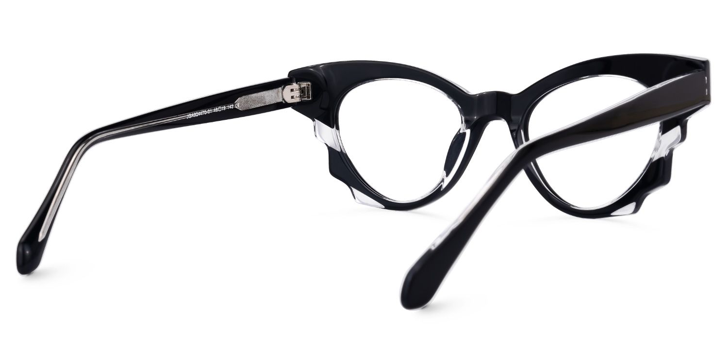 Agapito - Cat Eye Black Eyeglasses product detail 3