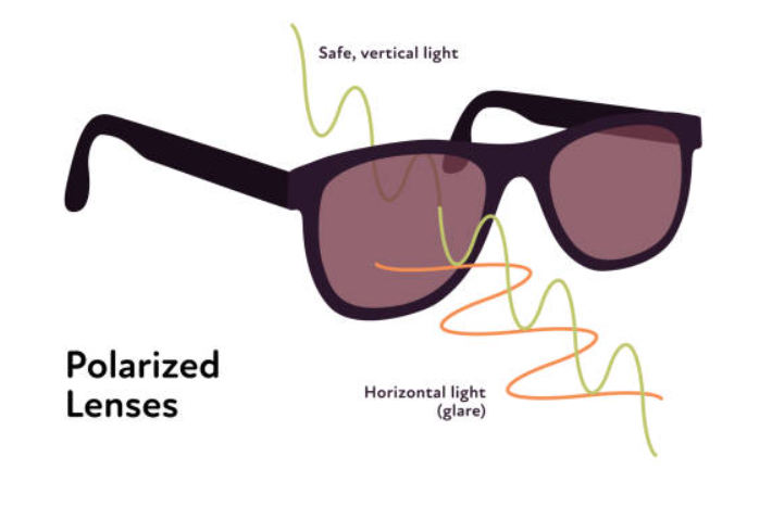 An educational diagram showing polarized sunglasses blocking orange horizontal light waves (glare) while allowing green vertical light waves to pass through the lens for clear vision.