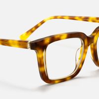 Chaparral - Desert Punk Rectangle Tortoise Glasses | Vooglam Design Details