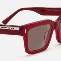 Razor - Rectangle Red Sunglasses | Vooglam Design Details