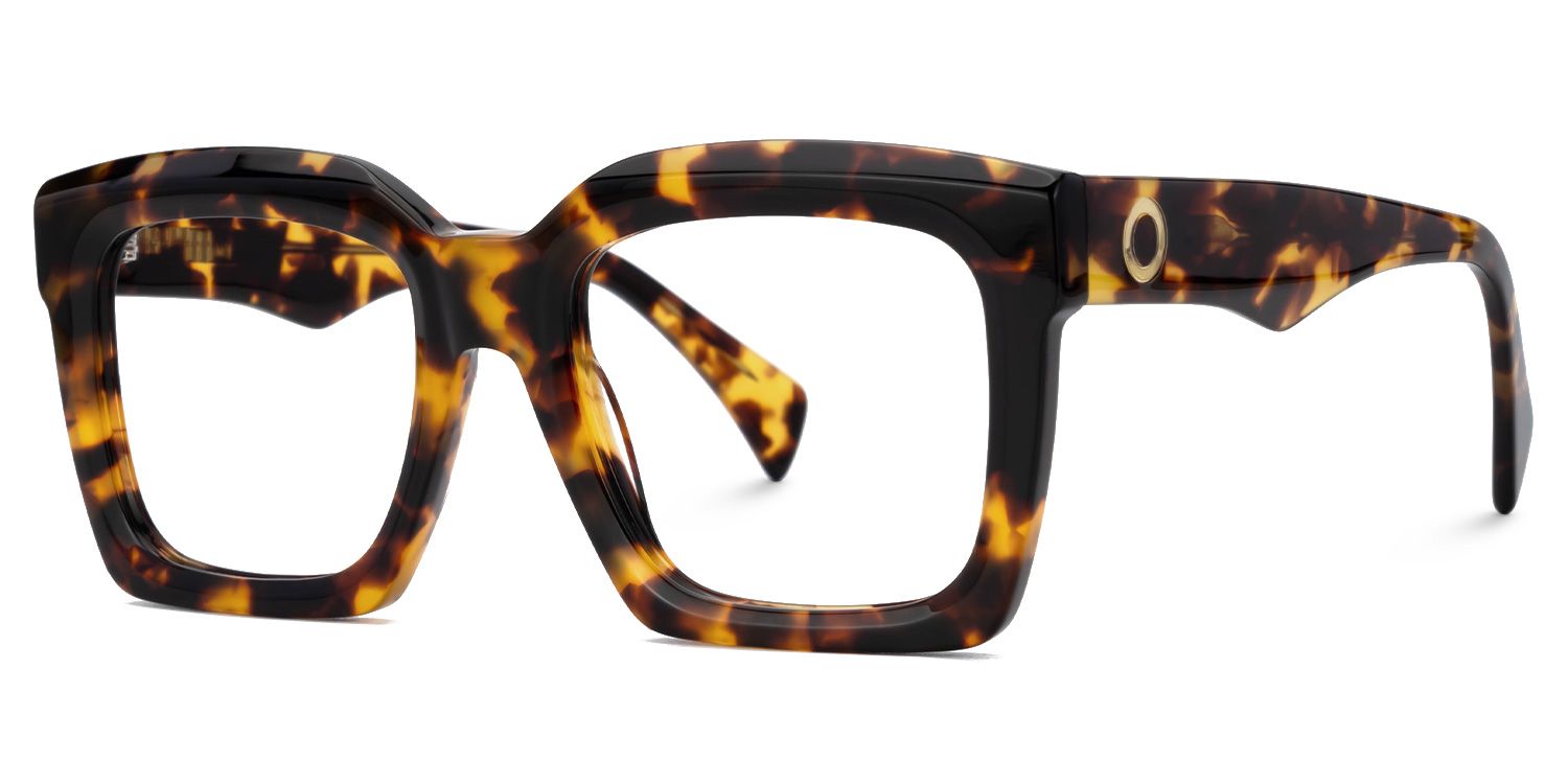 Gaerwn - Square Tortoise Eyeglasses | Vooglam Front View