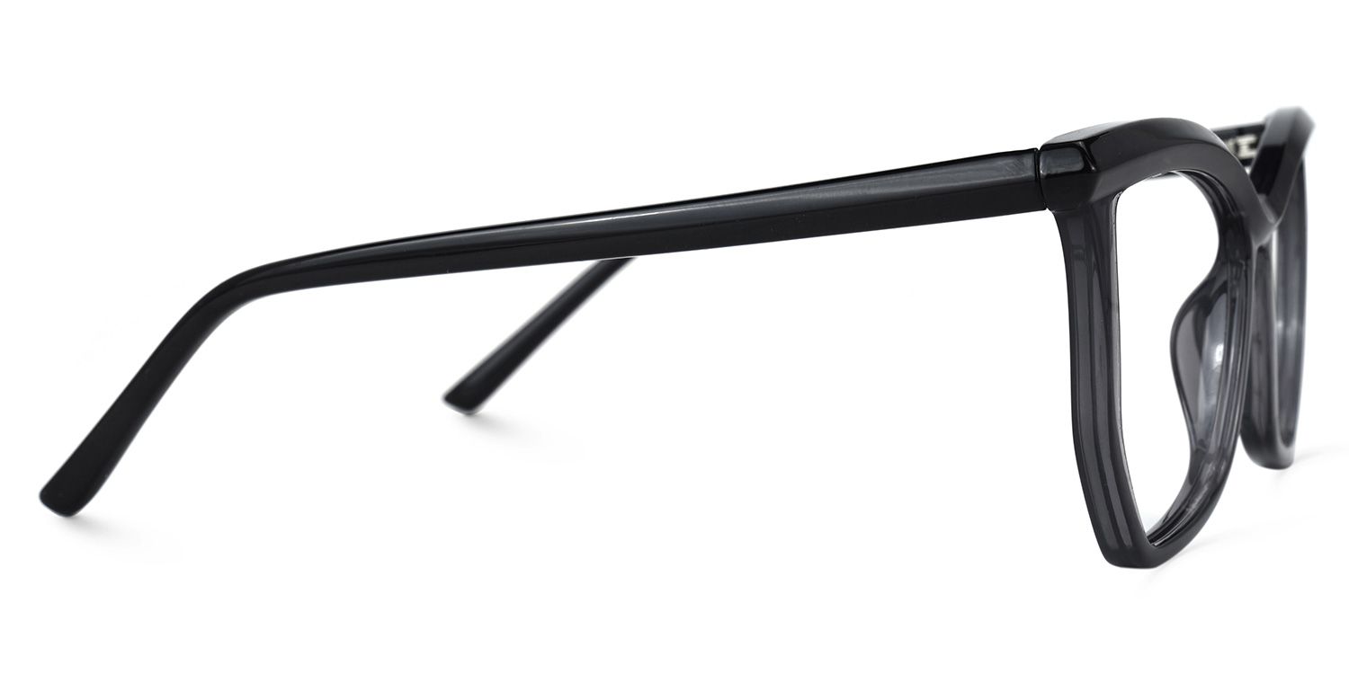 Wes - Butterfly Black/Grey Eyeglasses by Vooglam - Product View 4