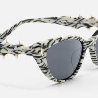 As If - Cat Eye Pattern Sunglasses | Vooglam Design Details