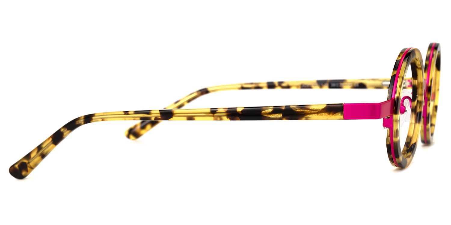 Dervla - Round Tortoise Eyeglasses | Vooglam 4