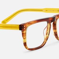 Charlotte - Rectangle Brown Eyeglasses | Vooglam Design Details