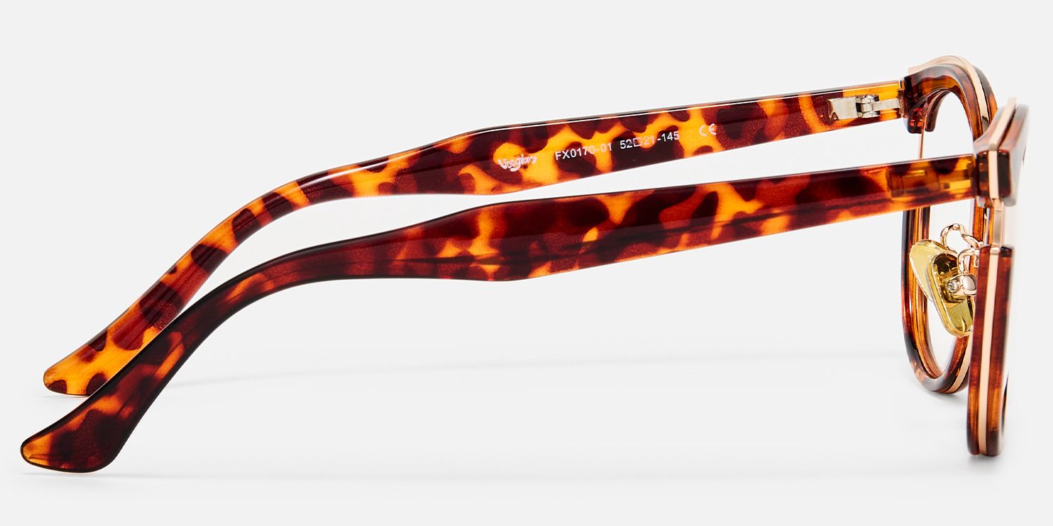 Retro - Cat eye Tortoise Eyeglasses product detail 3