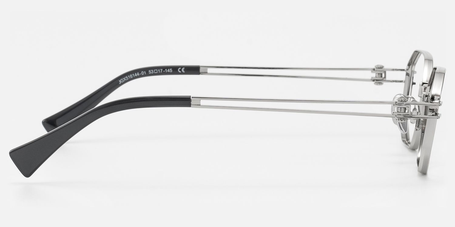 Loos - Silver Double Wire Temple Glasses with Screw| Vooglam Side View