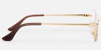 Viva - Cat Eye Gold Eyeglasses | Vooglam Side View
