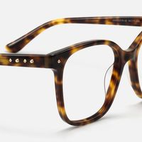 Spacek - Boho Square Tortoise Eyeglasses | Vooglam Design Details