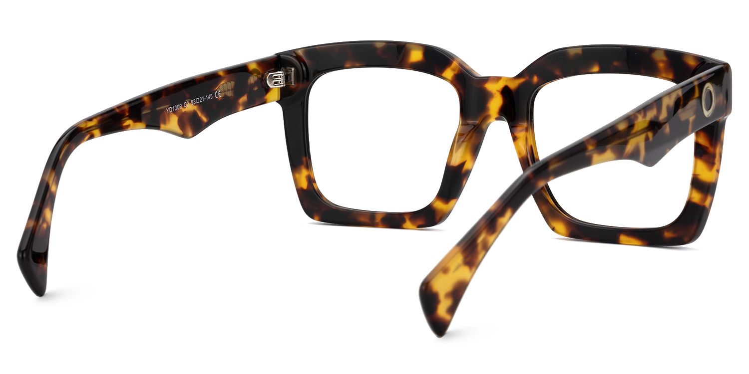 Gaerwn - Square Tortoise Eyeglasses product detail 3