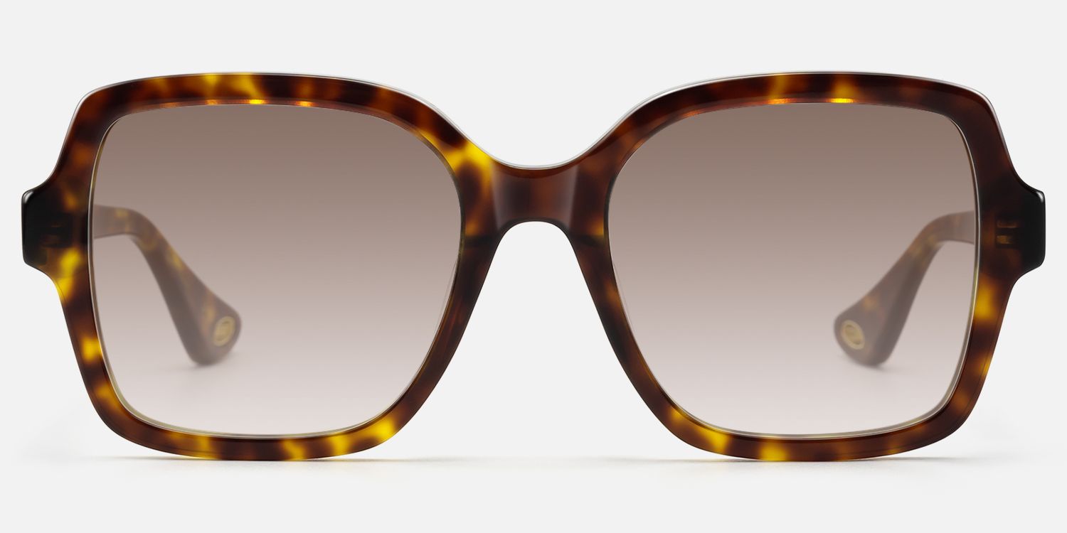 Meridian - Square Tortoise Acetate Sunglasses | Vooglam Angle View
