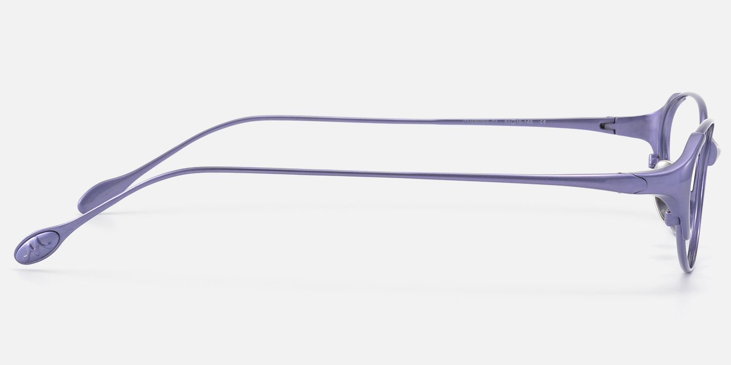 Ebisu - Purple Metal Rimmed Oval Glasses | Vooglam Side View