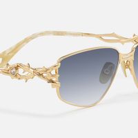 Spine - Geometric Gold Sunglasses | Vooglam Design Details