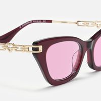 Siren - Cat Eye Red Sunglasses | Vooglam Design Details