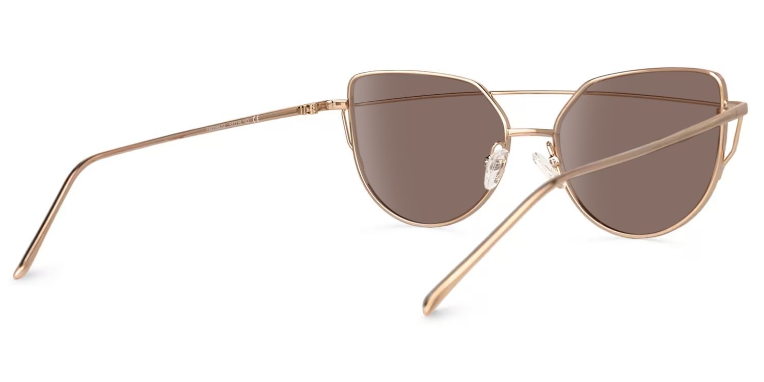 Selina Gold Rim Fashion Aviator Sunglasses Frames | Vooglam Side View