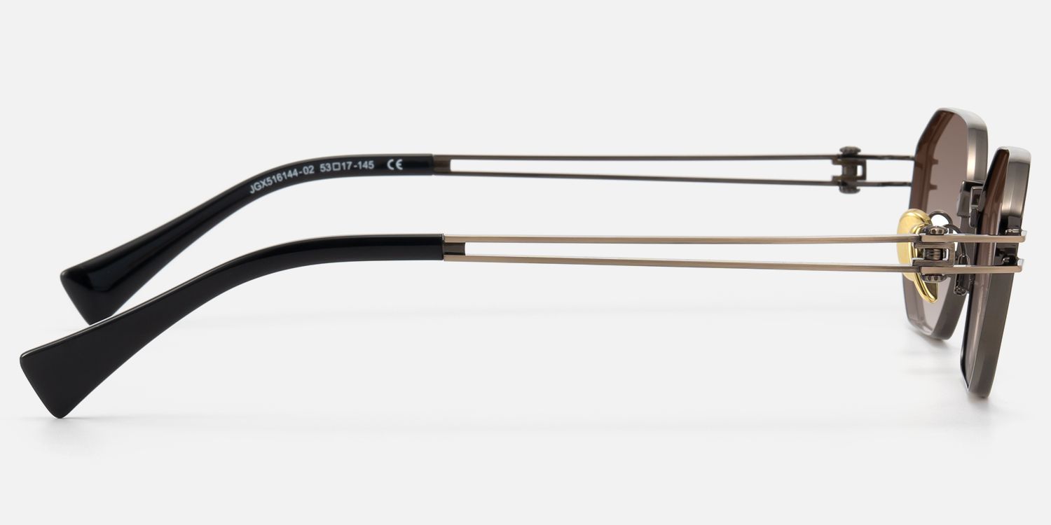 Loos - Gold Double Wire Geometric Sunglasses | Vooglam Side View