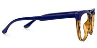 Callisto - Cat Eye Blue/Tortoise Eyeglasses | Vooglam 