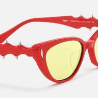 As If - Cat Eye Red Sunglasses | Vooglam Design Details