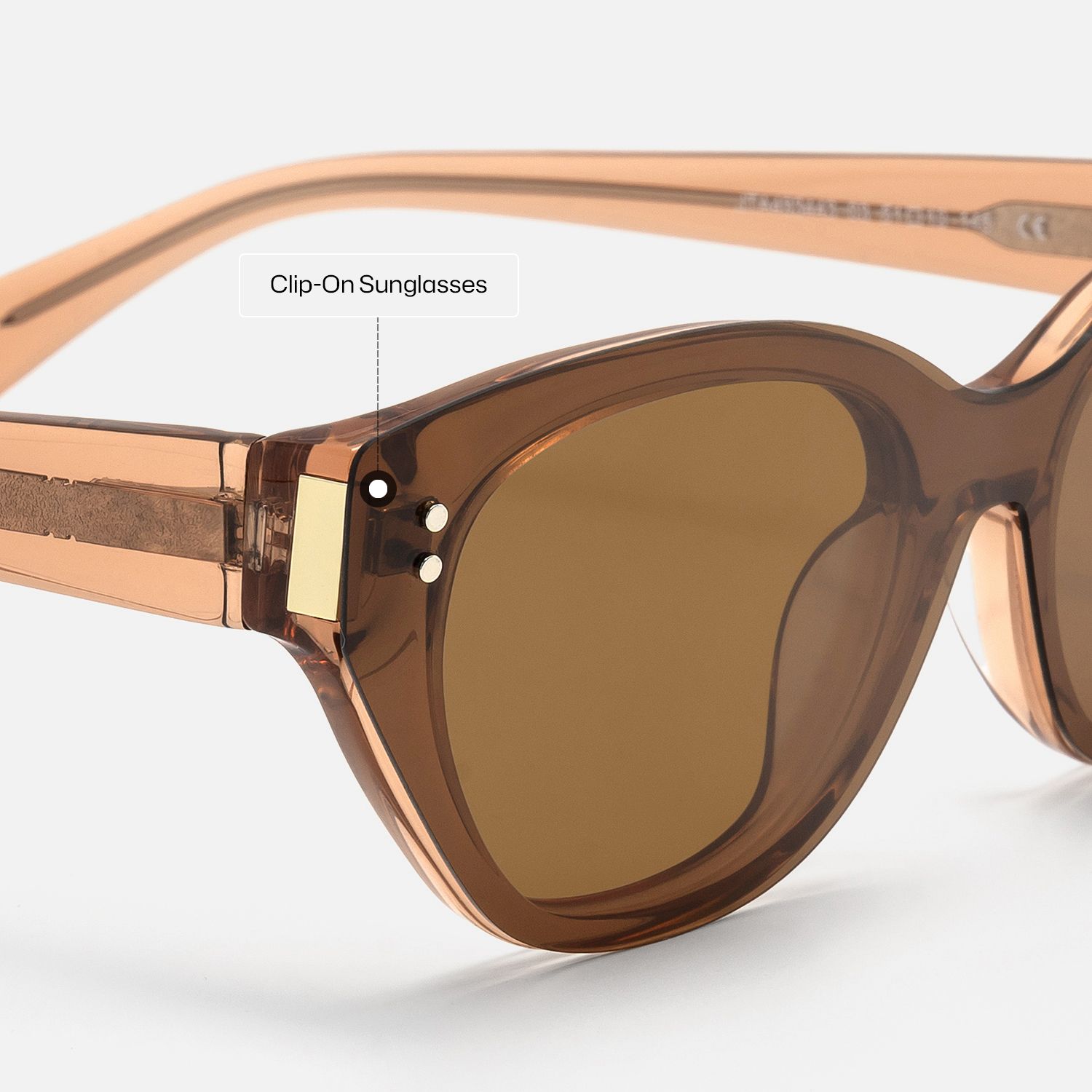 Cicely - Champagne Cat Eye Sunglasses | Vooglam Design Details