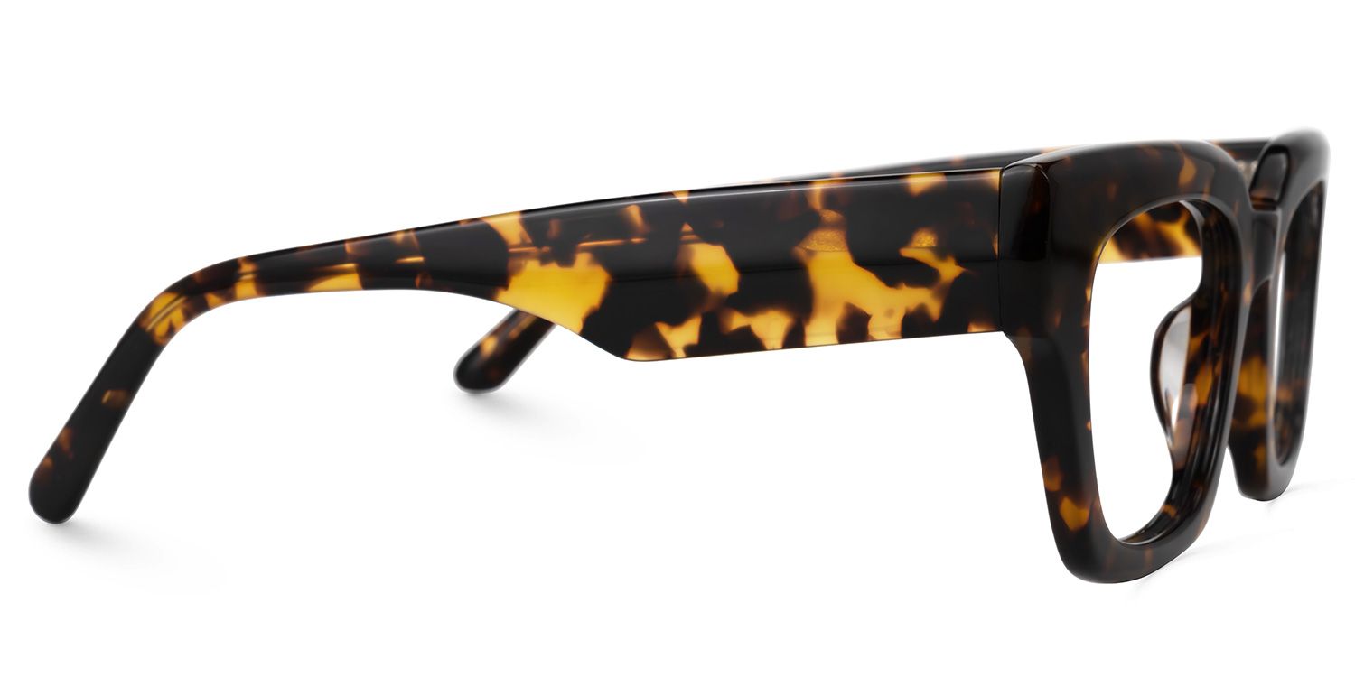 Denitsa - Square Tortoise Eyeglasses product detail 4