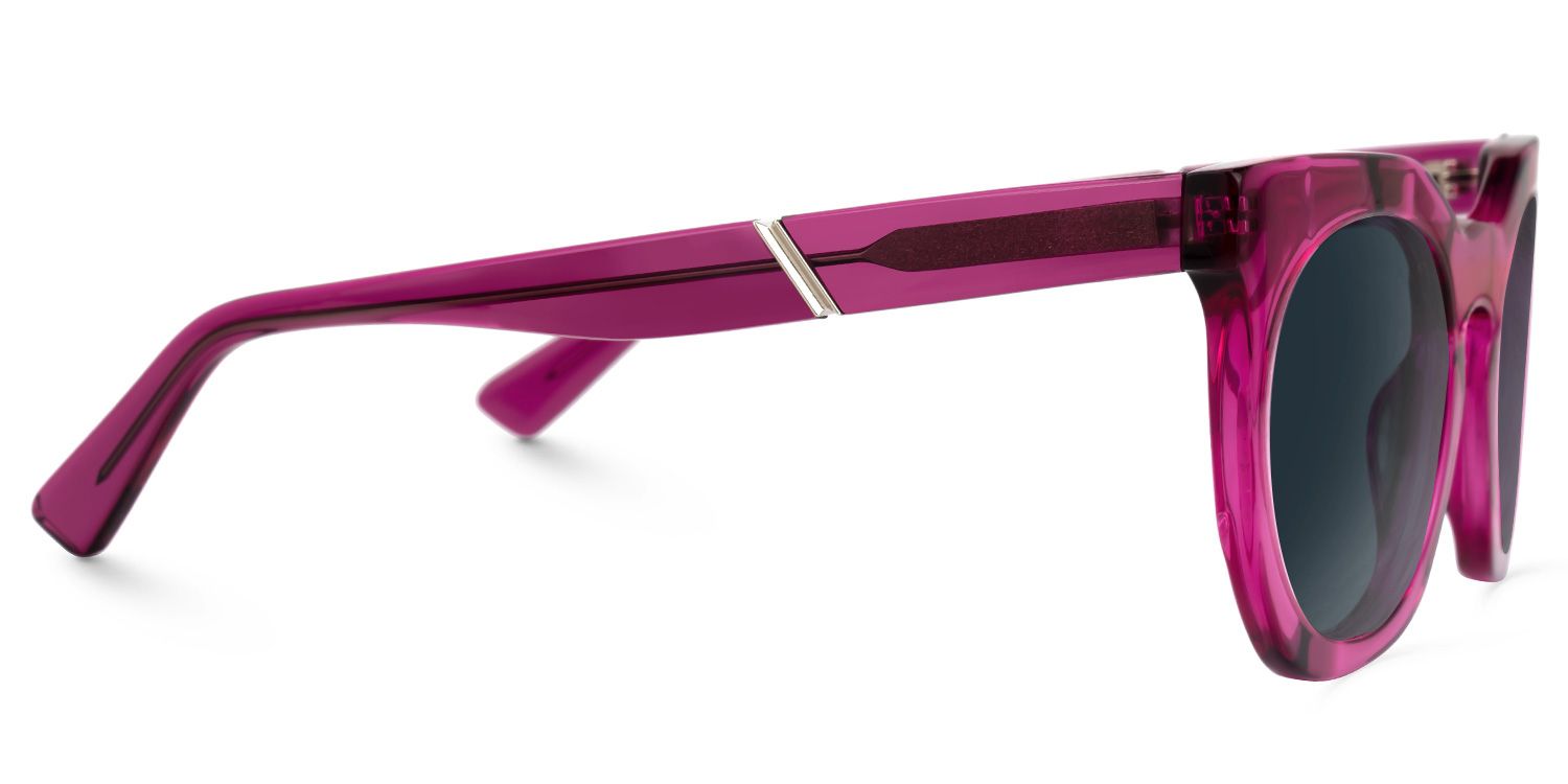 Deiondre - Round Purple Sunglasses | Vooglam 4