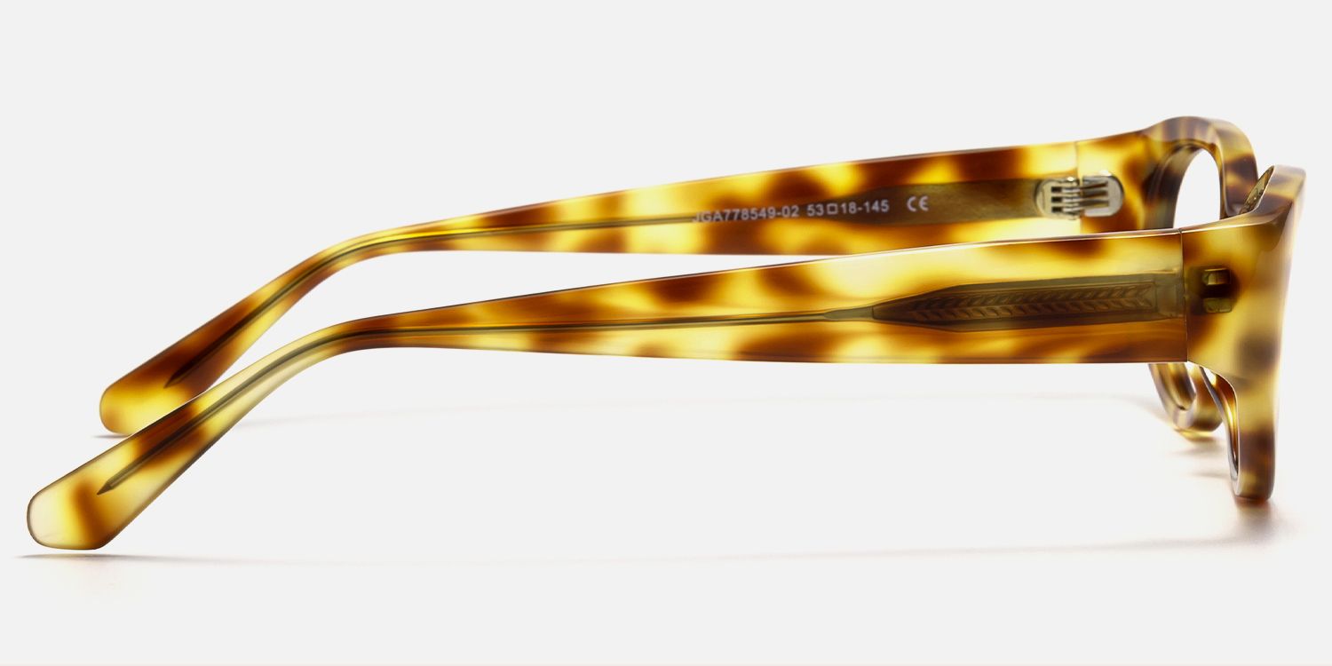 Drizzle - Oval Tortoise Eyeglasses | Vooglam Side View